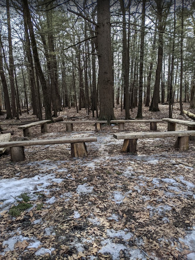 A circle of benches in the woods